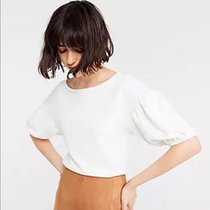 Ann Taylor Petite Puff Sleeve - Winter White